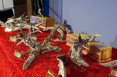 9erWorlds_20100109_7489