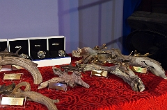 9erWorlds_20100109_7491