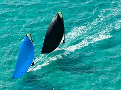 9erWorlds_20100108_5831