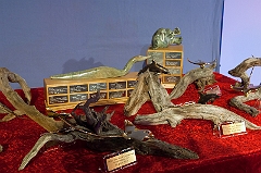 9erWorlds_20100109_7486