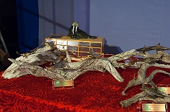 9erWorlds_20100109_7487
