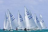 StarBacardi_20070307_0980