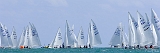 StarBacardi_20070307_1009