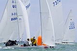 StarBacardi_20070308_1493